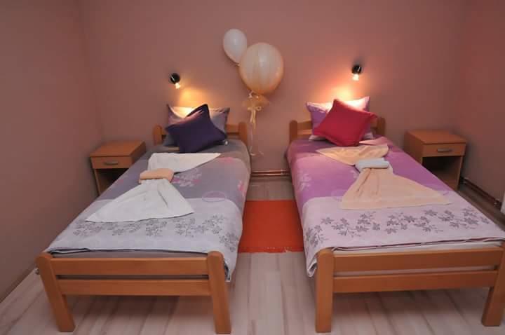 Apartmani "Roshu" 索科矿泉村 外观 照片